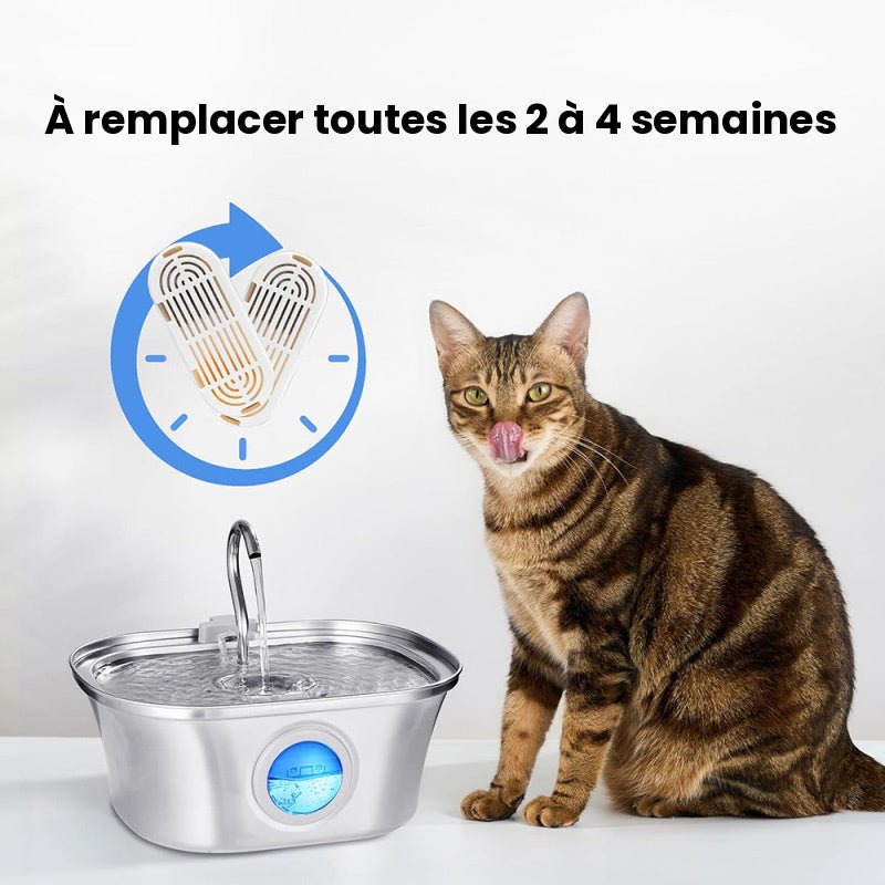 Filtre fontaine chat inox Serein™ - lot de 3 ou 6 filtres + éponges - Univers Chat Nature