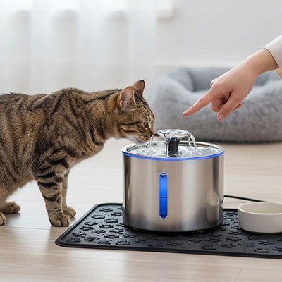 Fontaine à eau Chat | AquaFlor™ inox 304, silencieuse, previent l'acné - Univers Chat Nature