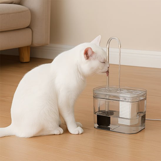 fontaine a eau chat aquainstinct chat blanc