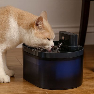 FONTAINE A EAU CHAT | Aqualunea™ - Univers Chat Nature