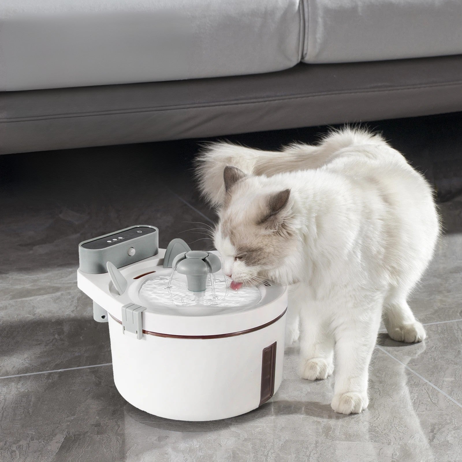 fontaine a eau chat avec capteur de mouvements distributeur eau fontaineaupur chat blanc