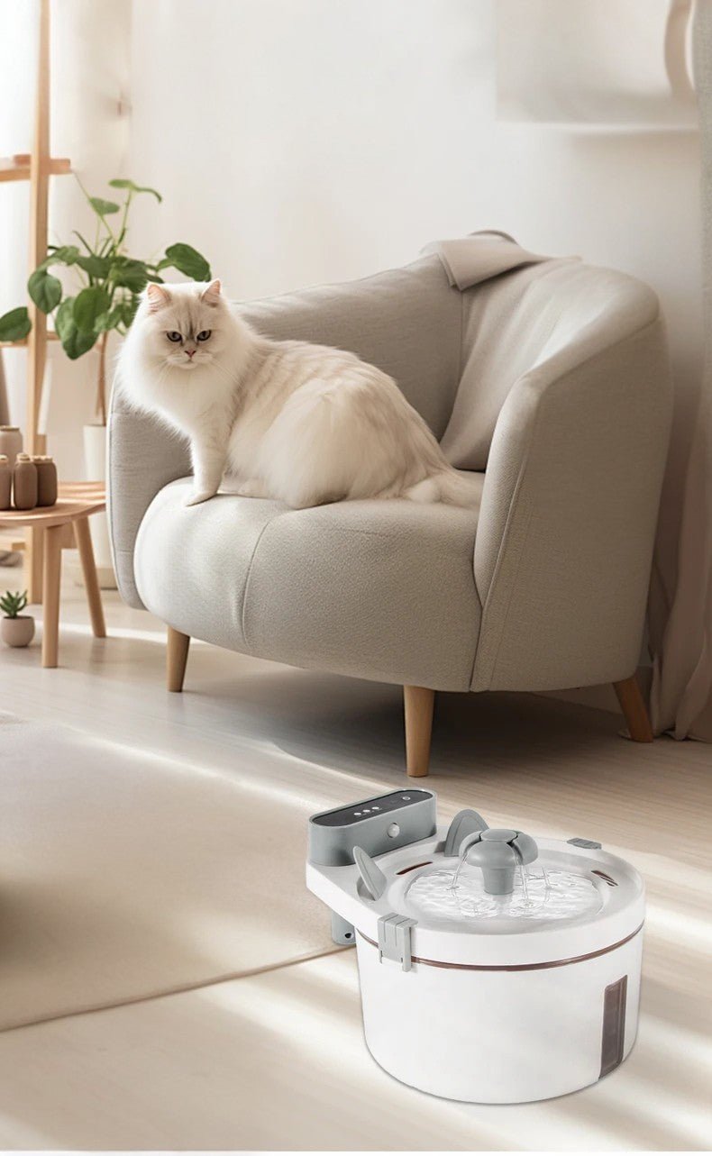 fontaine a eau chat avec capteur de mouvements distributeur eau fontaineaupur chat sur fauteuil