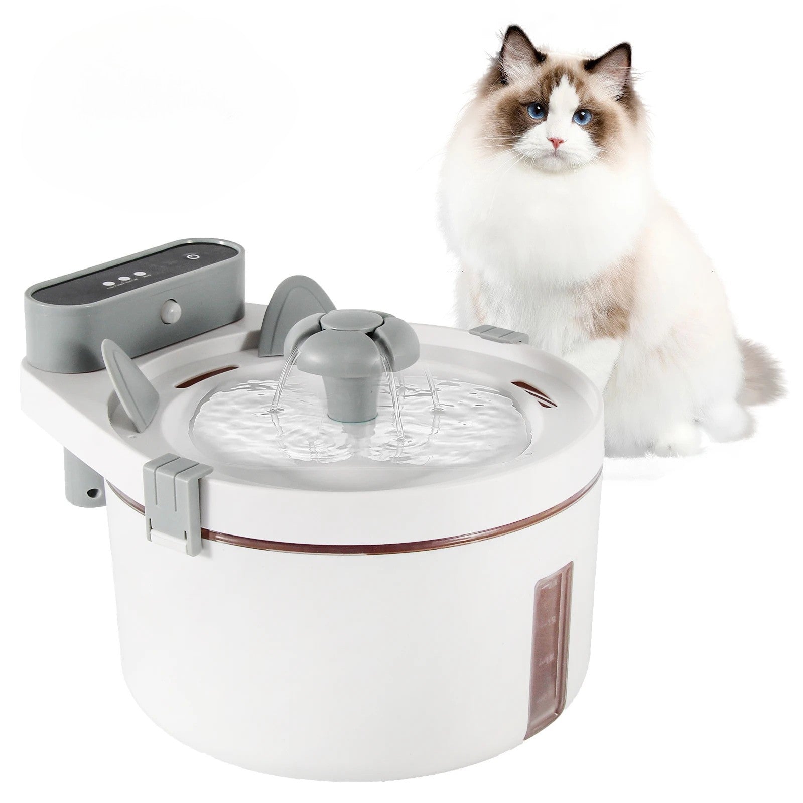 fontaine a eau chat avec capteur de mouvements distributeur eau fontaineaupur pres dun chat