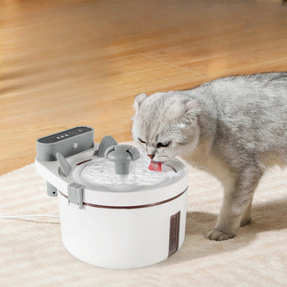 fontaine a eau chat avec capteur de mouvements distributeur eau fontaineaupur sur tapis