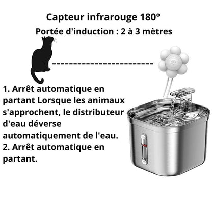 fontaine a eau chat | Distributeur d'eau en acier inoxydable, Xal'eau™ - Univers Chat Nature