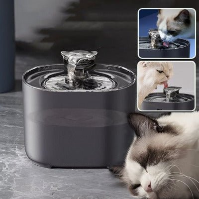 Fontaine à eau chat | Zenmia™ - Univers Chat Nature