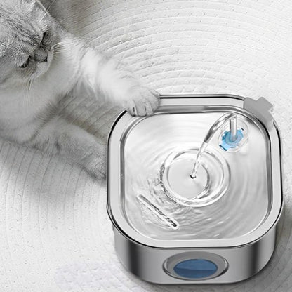 Fontaine a eau inox chat Clairéa™, assure une circulation continue sans bruit dérangeant pour les animaux et les propriétaires