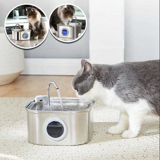 Fontaine a eau inox chat Clairéa™  avec fenêtre de contrôle du niveau d'eau: permet de vérifier rapidement la quantité d'eau restante