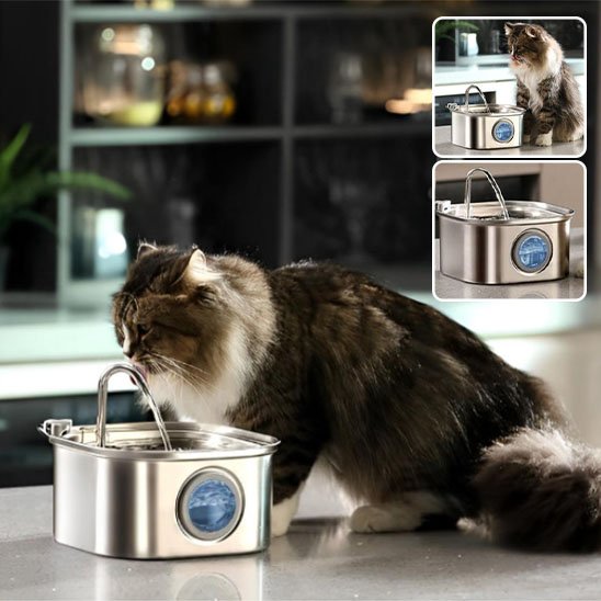 Fontaine a eau inox chat Clairéa™ avec système de filtration: purifie l'eau en continu pour une hydratation saine