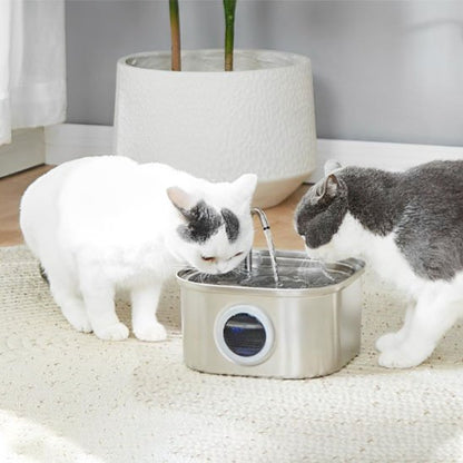 Fontaine a eau inox chat Clairéa™, capacité adaptée pour plusieurs chats permet à plusieurs chats de s'hydrater simultanément