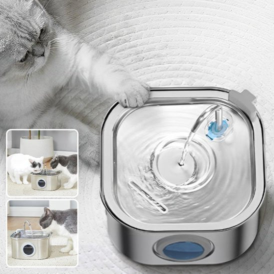 Fontaine a eau inox chat Clairéa™ en acier inoxydable, matériau hygiénique, durable et facile à nettoyer 