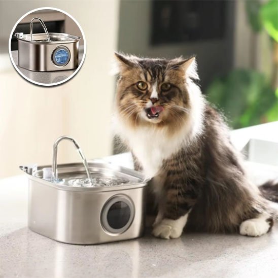 Fontaine a eau inox chat Clairéa™ encourage les chats à boire davantage grâce au mouvement de l'eau courante