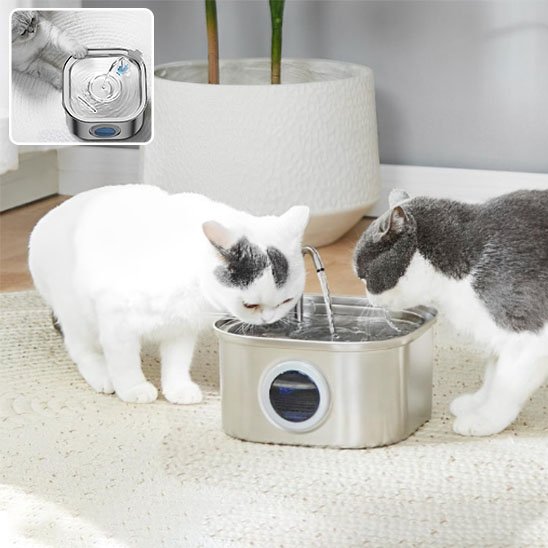 Fontaine a eau inox chat Clairéa™, forme ergonomique avec bassin large: facilite l'accès et évite que les moustaches touchent les bords
