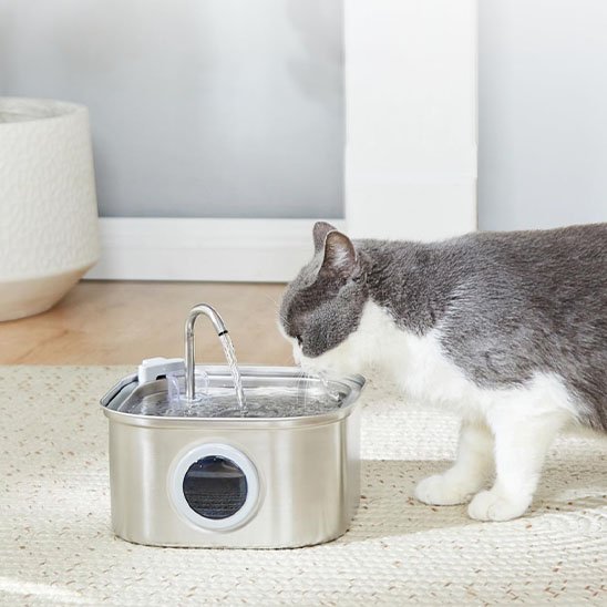 Fontaine a eau inox chat Clairéa™ un chat noir blanc buvant l'eau dans un salon français 