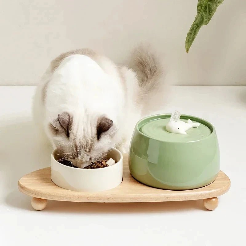 Fontaine à eau pour chat céramique | PureFlow - Univers Chat Nature