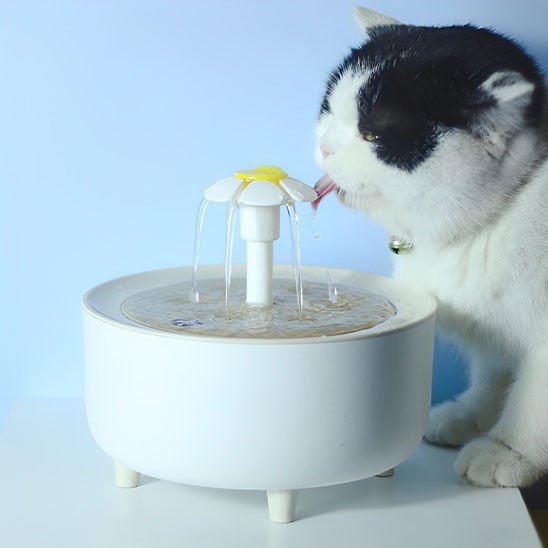 Fontaine à eau pour chat | HydroVitale™ - Univers Chat Nature