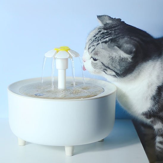 Fontaine à eau pour chat | HydroVitale™ - Univers Chat Nature