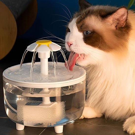 Fontaine à eau pour chat | HydroVitale™ - Univers Chat Nature