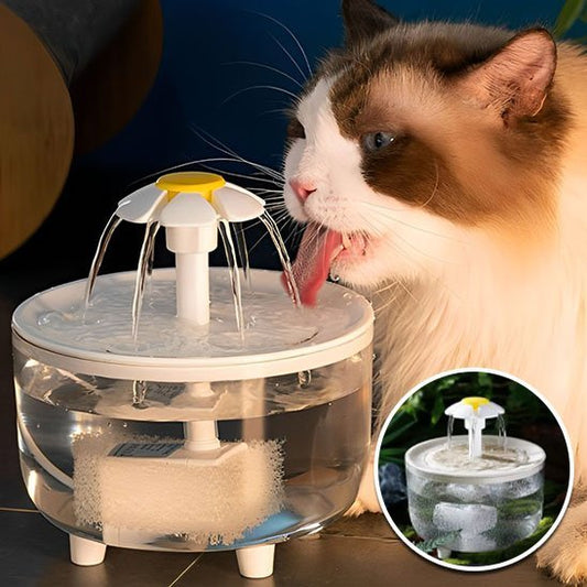 Fontaine à eau pour chat | HydroVitale™ - Univers Chat Nature
