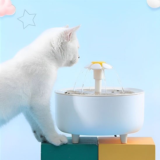 Fontaine à eau pour chat | HydroVitale™ - Univers Chat Nature