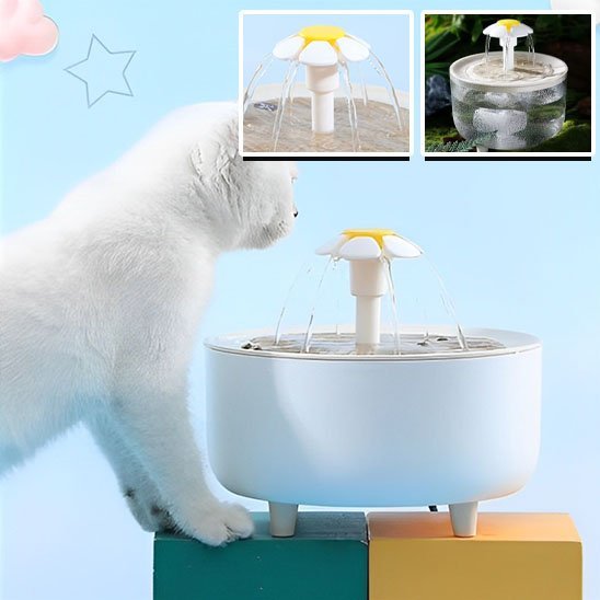 fontaine a eau pour chat hydrovitale blanc observe