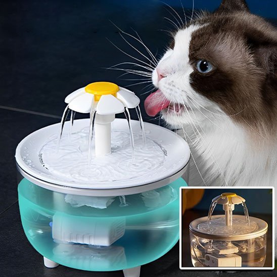 fontaine a eau pour chat hydrovitale chat noir blanc