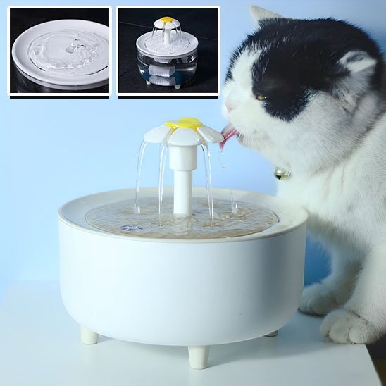 fontaine a eau pour chat hydrovitale fond bleu