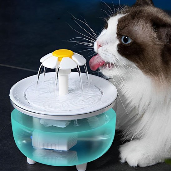 fontaine a eau pour chat hydrovitale langue chat dehors