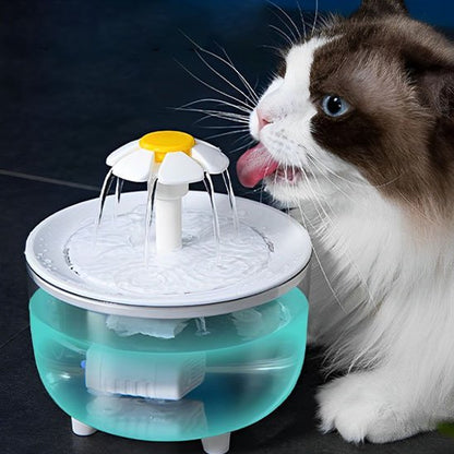 fontaine a eau pour chat hydrovitale langue chat dehors
