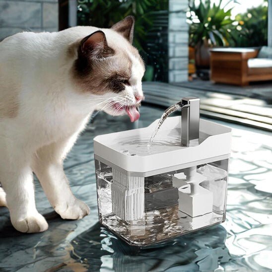 Fontaine a eau pour chat | PurEauFlow™ - Univers Chat Nature