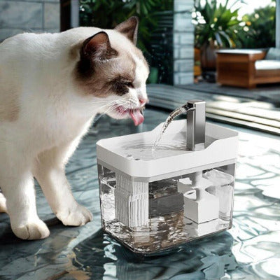 Fontaine a eau pour chat pureauflow a cote minet blanche buvant l'eau
