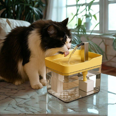 Fontaine a eau pour chat pureauflow dans une cuisine décorée des fleurs et un matou s'abreuve