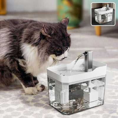 Fontaine a eau pour chat PurEauFlow avec un joli Matou buvant l'eau