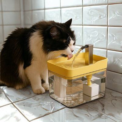fontaine a eau pour chat pureauflow sur carreaux de la cuisine et chachou observant l'eau couler