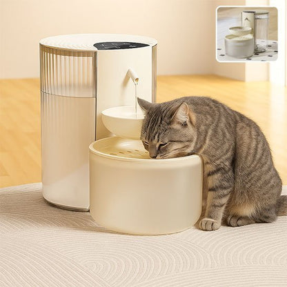 fontaine a eau pour chat purehydrate chat boit