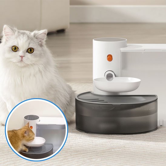 fontaine a eau silencieuse pour chat felifresh chat blanc