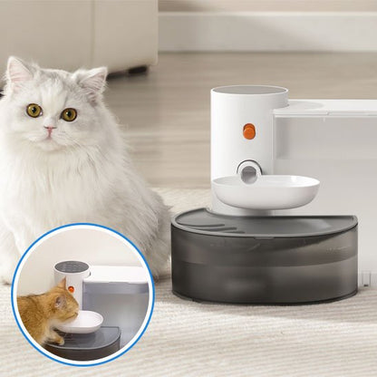 fontaine a eau silencieuse pour chat felifresh chat blanc
