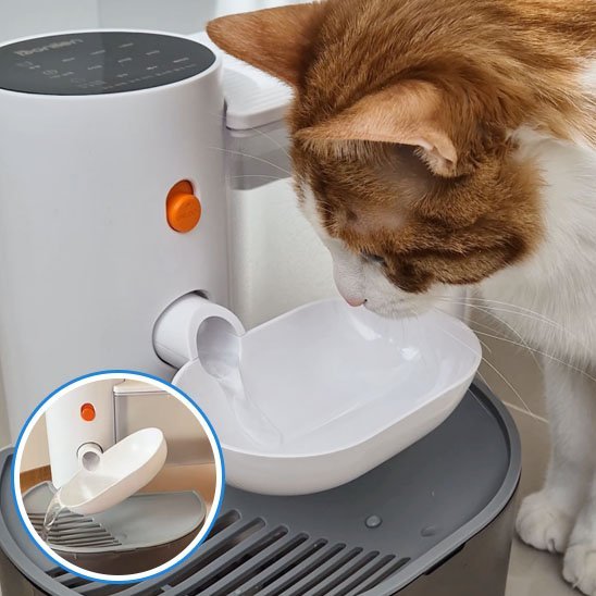 fontaine a eau silencieuse pour chat felifresh chat buvant eau
