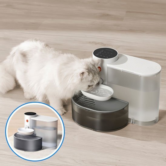 fontaine a eau silencieuse pour chat felifresh plancer chat blanc