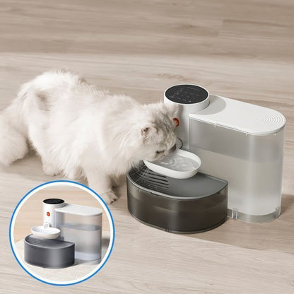 fontaine a eau silencieuse pour chat felifresh plancer chat blanc