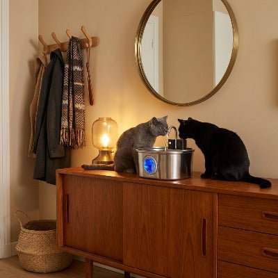 Fontaine à eau chat sans fil avec détecteur SerenAqua™ inox - Univers Chat Nature