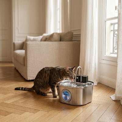 Fontaine à eau chat sans fil avec détecteur SerenAqua™ inox - Univers Chat Nature