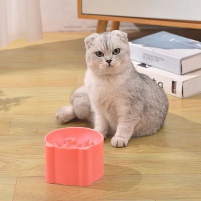 Gamelle anti-glouton chat BolControl™  dans un appartement avec un chat qui observe son environnement - Univers Chat Nature
