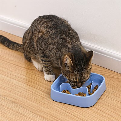 Gamelle anti glouton Chat bleu avec un chat mangeant