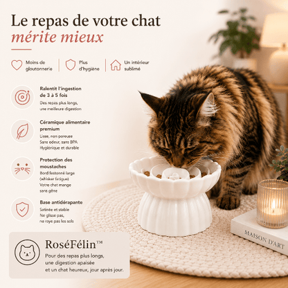 RoséFélin™ : gamelle anti - glouton chat céramique design, surélevée, protectrice et belle à regarder - Univers Chat Nature