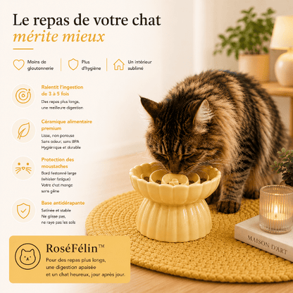 RoséFélin™ : gamelle anti - glouton chat céramique design, surélevée, protectrice et belle à regarder - Univers Chat Nature