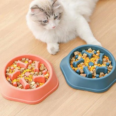 Deux gamelles anti-glouton chat | DigestControl™ avec un chat glouton ralenti et observe sa nourriture- Univers Chat Nature
