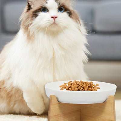 Gamelle Anti Glouton Chat | DigestControl1™ - Univers Chat Nature