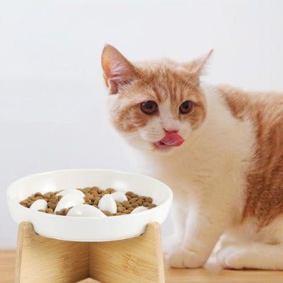 Gamelle Anti Glouton Chat | DigestControl1™ - Univers Chat Nature