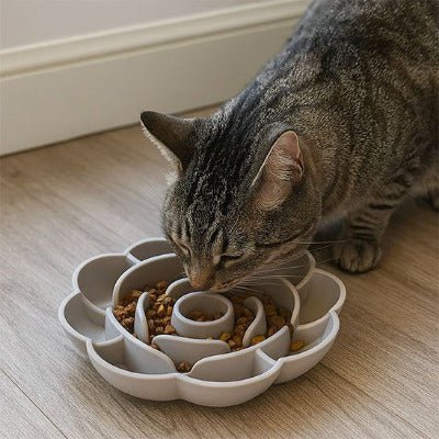 Gamelle Anti - Glouton pour Chat FeedSmart™ en présence d'un chat qui savoure ces croquettes- Univers Chat Nature